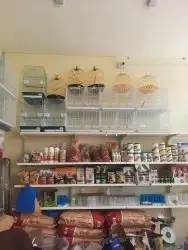 اغراض ومستلزمات طيور وقطط كروان هملايا سيامي 91