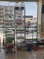 اغراض ومستلزمات طيور وقطط كروان هملايا سيامي 89