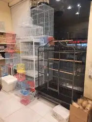 اغراض ومستلزمات طيور وقطط كروان هملايا سيامي 80