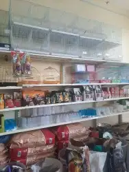 اغراض ومستلزمات طيور وقطط كروان هملايا سيامي 74