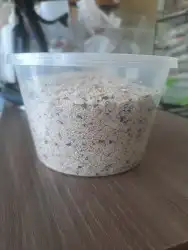 اغراض ومستلزمات طيور وقطط كروان هملايا سيامي 67