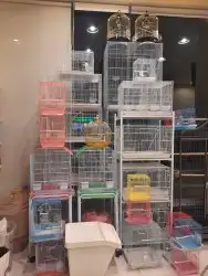 اغراض ومستلزمات طيور وقطط كروان هملايا سيامي 82