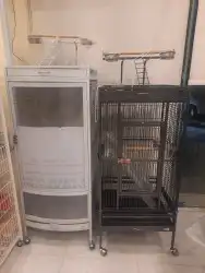 اغراض ومستلزمات طيور وقطط كروان هملايا سيامي 63