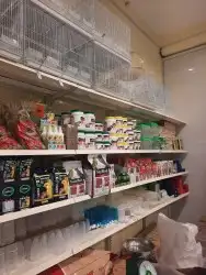 اغراض ومستلزمات طيور وقطط كروان هملايا سيامي 81