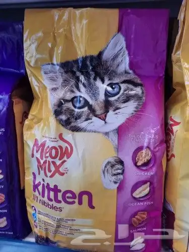 اغراض ومستلزمات طيور وقطط كروان هملايا سيامي 49