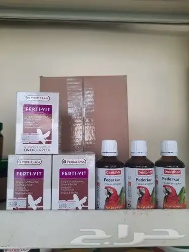 اغراض ومستلزمات طيور وقطط كروان هملايا سيامي 58