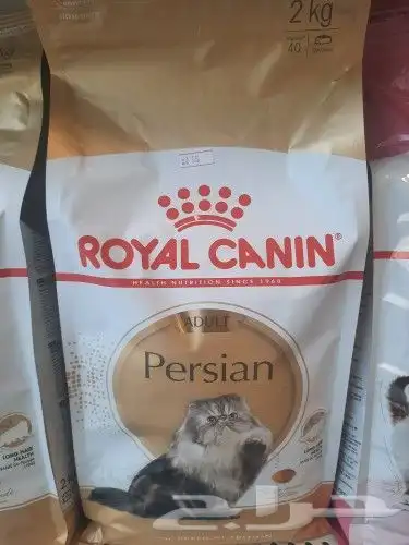 اغراض ومستلزمات طيور وقطط كروان هملايا سيامي 31