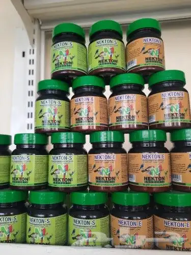 اغراض ومستلزمات طيور وقطط كروان هملايا سيامي 59