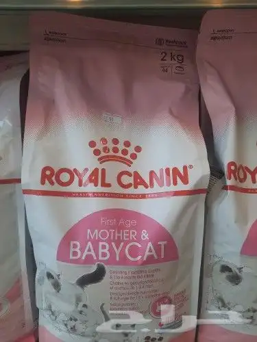 اغراض ومستلزمات طيور وقطط كروان هملايا سيامي 29