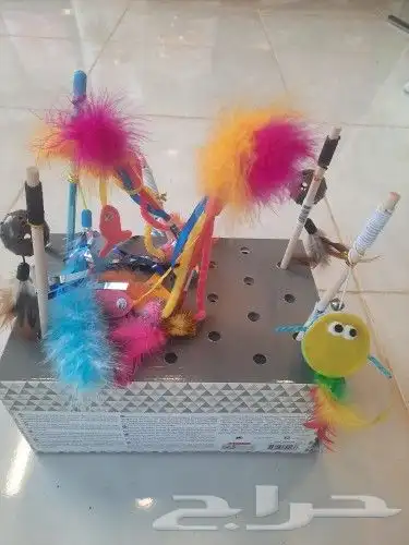 اغراض ومستلزمات طيور وقطط كروان هملايا سيامي 10