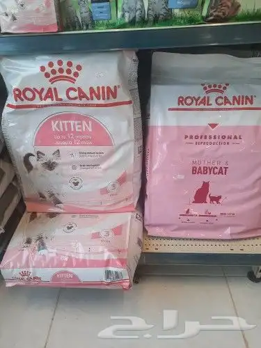 اغراض ومستلزمات طيور وقطط كروان هملايا سيامي 23