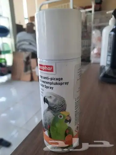 اغراض ومستلزمات طيور وقطط كروان هملايا سيامي 60