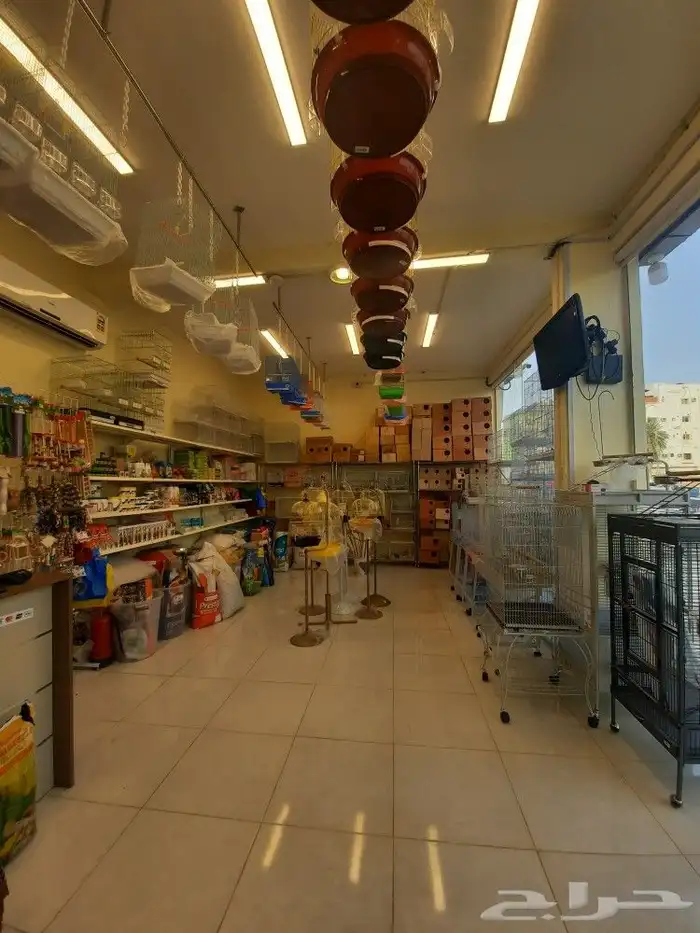 اغراض ومستلزمات طيور وقطط كروان هملايا سيامي 2