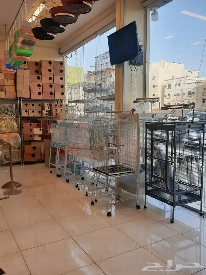 اغراض ومستلزمات طيور وقطط كروان هملايا سيامي 1