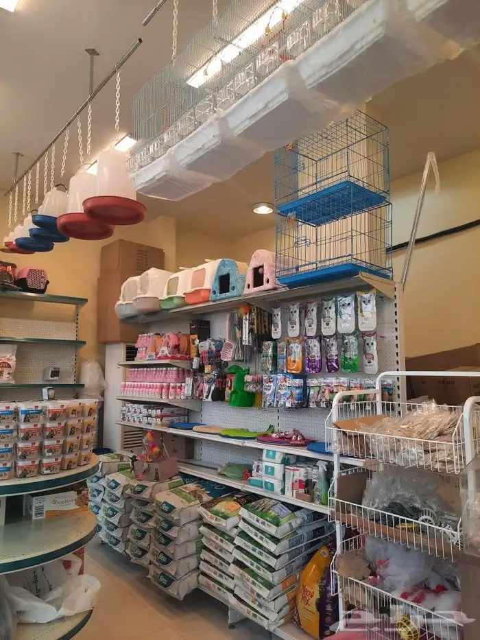 اغراض ومستلزمات طيور وقطط كروان هملايا سيامي 4