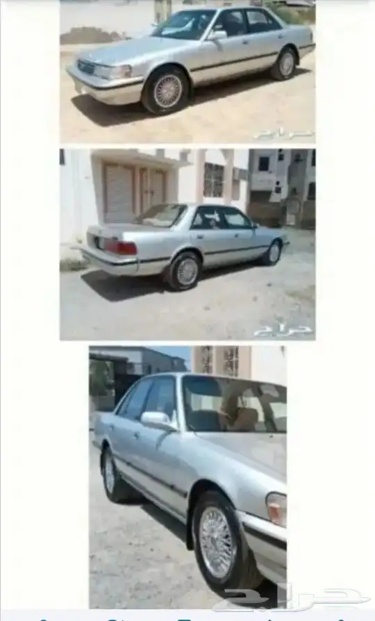 جنوط كرسيدا جراندي اصلي شدبلد 8