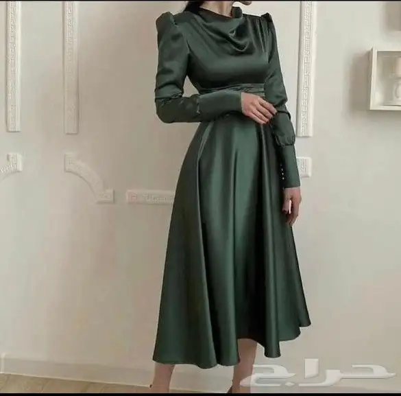 فساتين مشاهير العرب حرق وتحطيم أسعار السوق 50