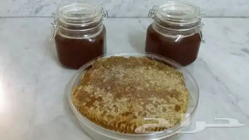 عسل بلدي جبلي اصلي 0