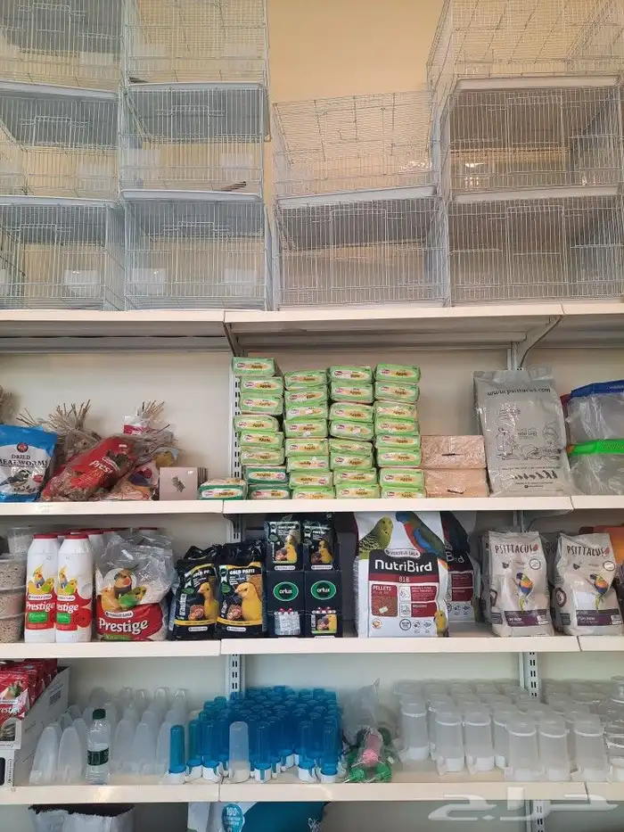 مستلزمات بادجي كروان كاسكو حسون روز كنيور دره 11