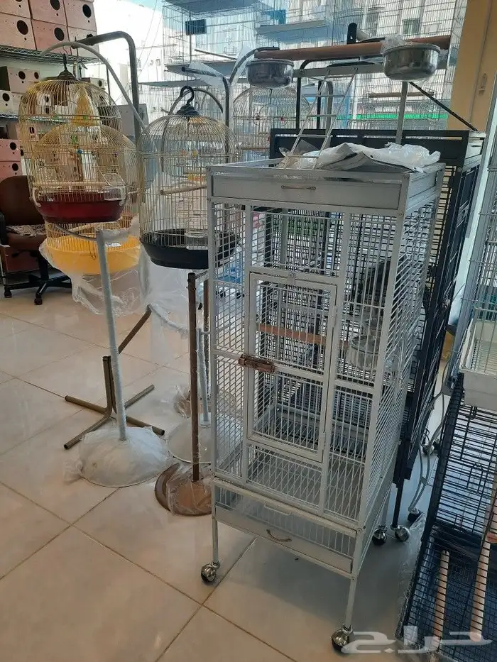 مستلزمات بادجي كروان كاسكو حسون روز كنيور دره 5