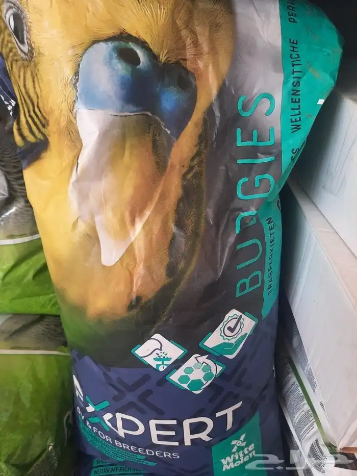 مستلزمات بادجي كروان كاسكو حسون روز كنيور دره 26