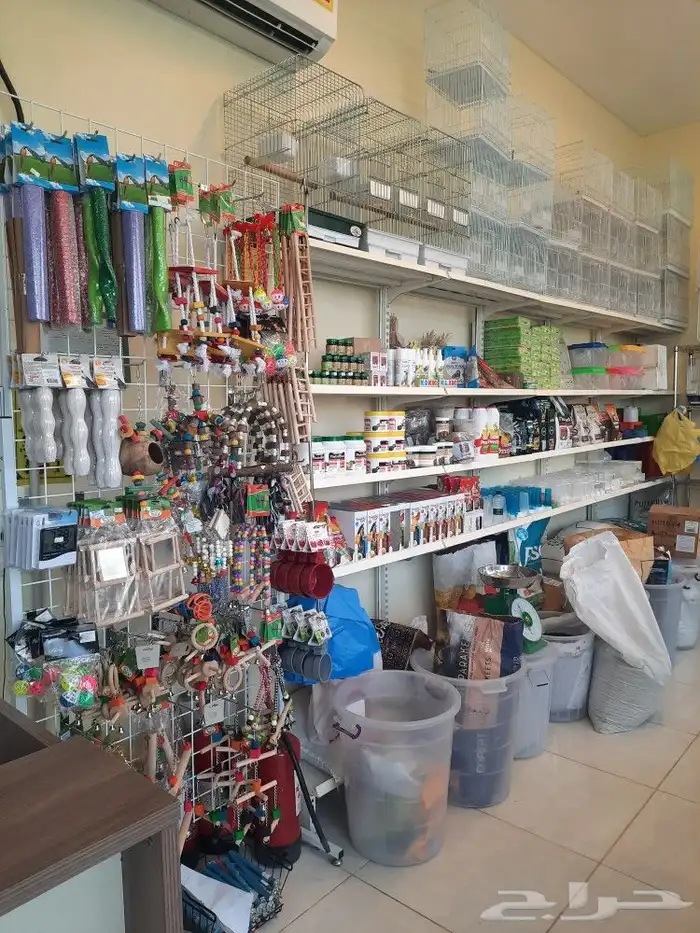 مستلزمات بادجي كروان كاسكو حسون روز كنيور دره 0