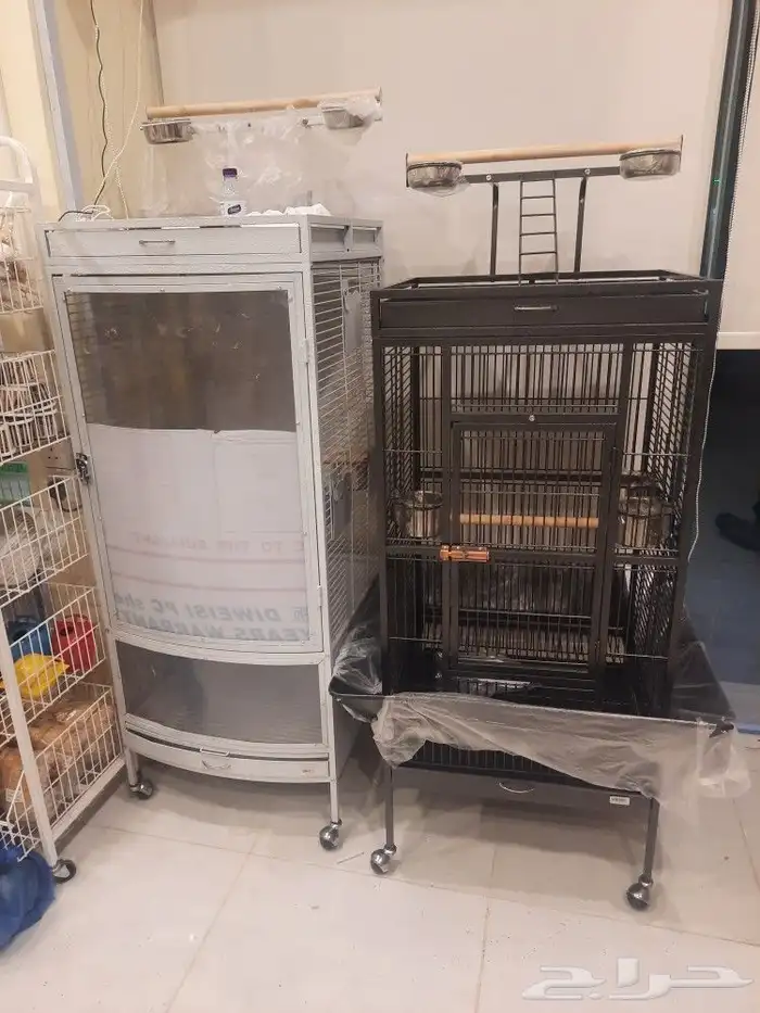 مستلزمات بادجي كروان كاسكو حسون روز كنيور دره 15