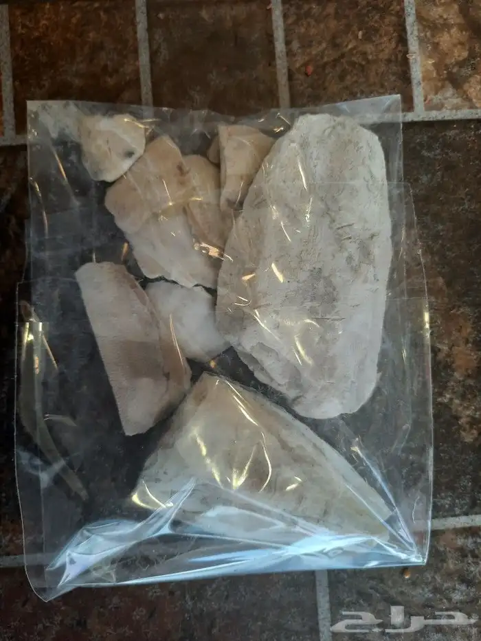 مستلزمات بادجي كروان كاسكو حسون روز كنيور دره 73