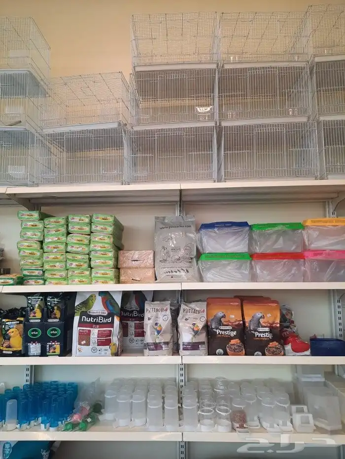 مستلزمات بادجي كروان كاسكو حسون روز كنيور دره 12