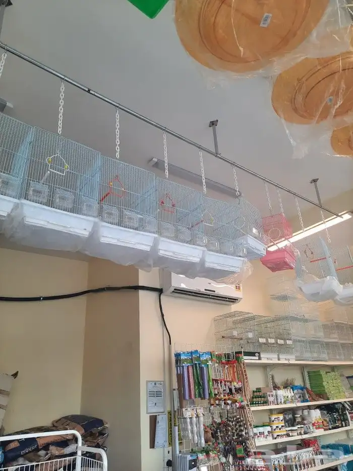 مستلزمات بادجي كروان كاسكو حسون روز كنيور دره 8