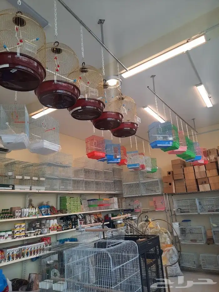 مستلزمات بادجي كروان كاسكو حسون روز كنيور دره 9