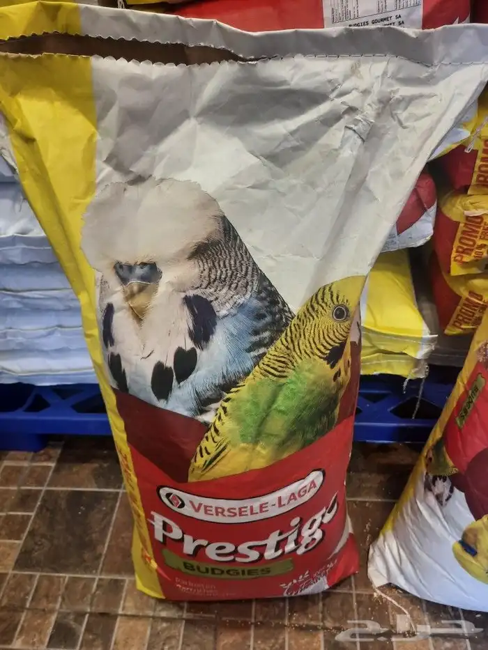 مستلزمات بادجي كروان كاسكو حسون روز كنيور دره 74