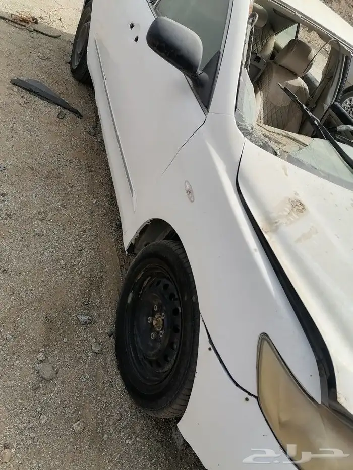 جده مكه القنفذه 19