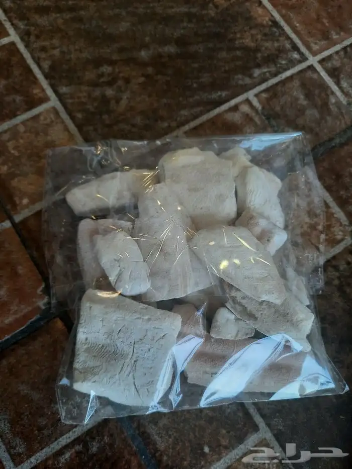 مستلزمات بادجي كروان كاسكو حسون روز كنيور دره 71