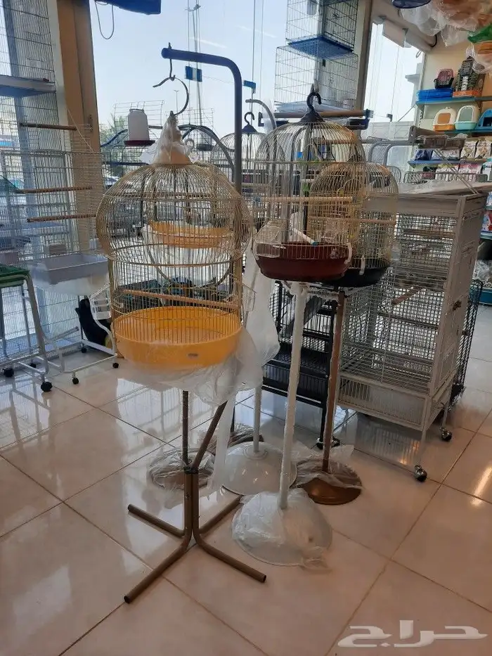 مستلزمات بادجي كروان كاسكو حسون روز كنيور دره 3