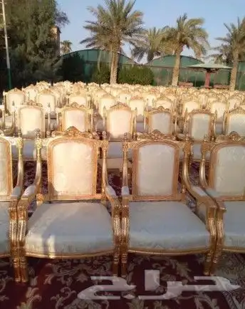 مجهز ومنظم حفلات ومخيمات 0