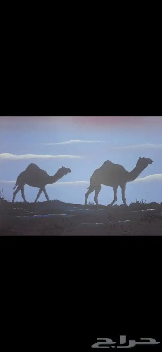 رسام وخطاط 5