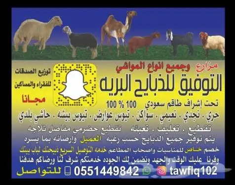 توصيل مجاني ذبايح ثلاجه ضيوف حريه سواكني 3