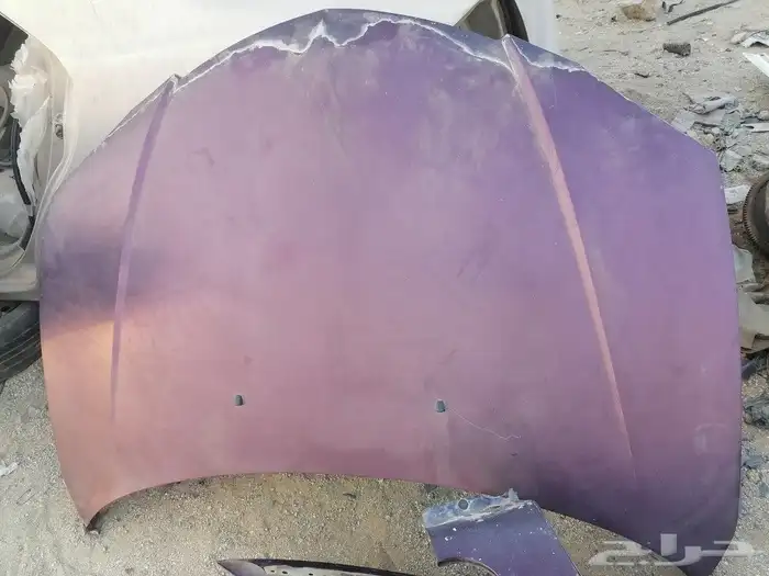 جده مكه القنفذه 8