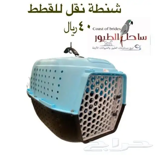 مستلزمات واغراض قطط سيامي حبشي امريكي شيرازي 87