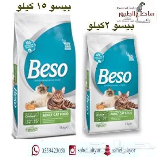 مستلزمات واغراض قطط سيامي حبشي امريكي شيرازي 84