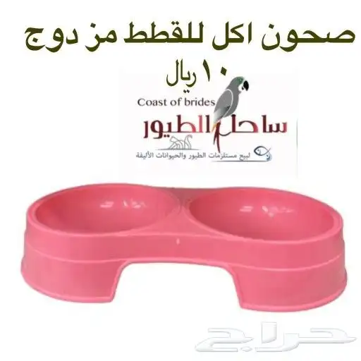 مستلزمات واغراض قطط سيامي حبشي امريكي شيرازي 93