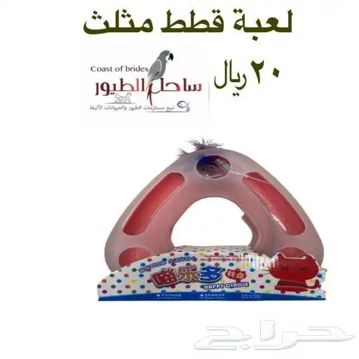 مستلزمات واغراض قطط سيامي حبشي امريكي شيرازي 89