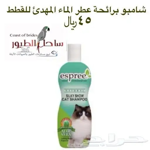 مستلزمات واغراض قطط سيامي حبشي امريكي شيرازي 91