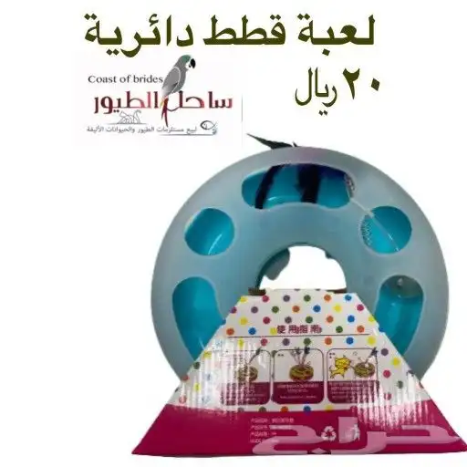 مستلزمات واغراض قطط سيامي حبشي امريكي شيرازي 90