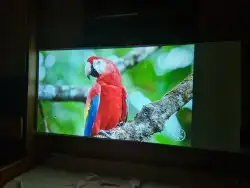 متوفر بروجكتر 0