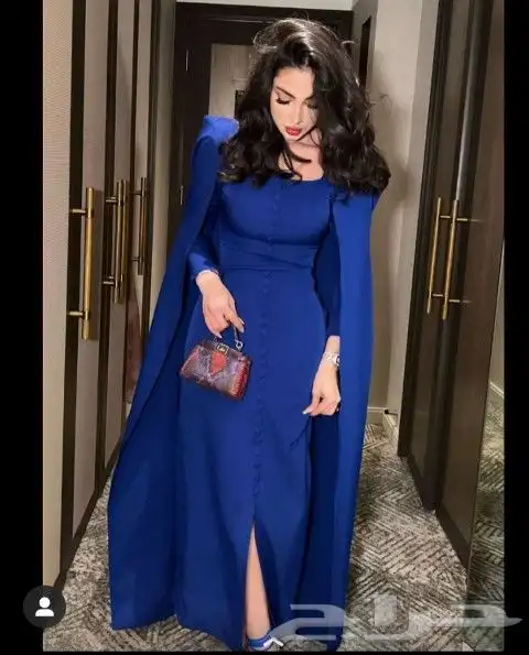 فساتين مشاهير العرب بيع جملة للمحلات التجارية 84