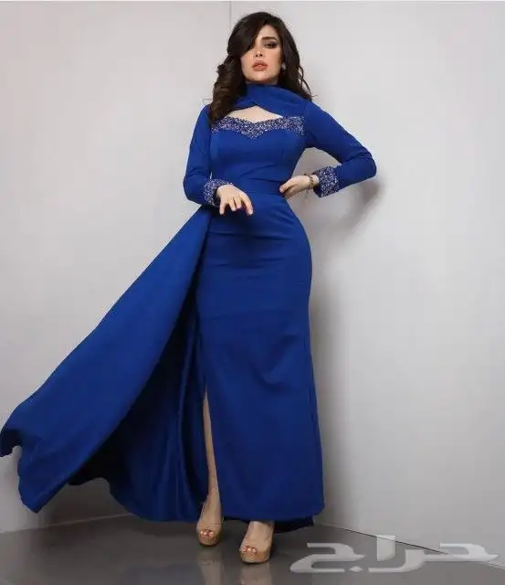 فساتين مشاهير العرب بيع جملة للمحلات التجارية 56