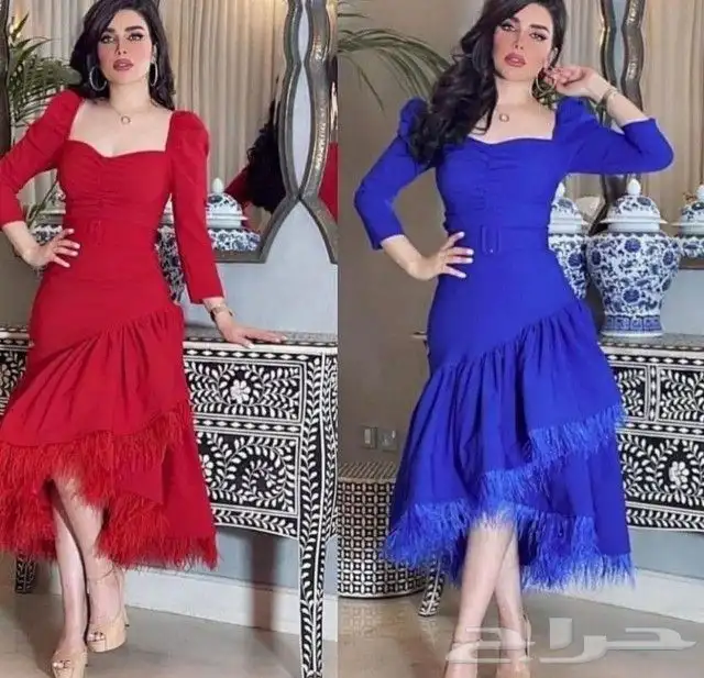 فساتين مشاهير العرب بيع جملة للمحلات التجارية 60