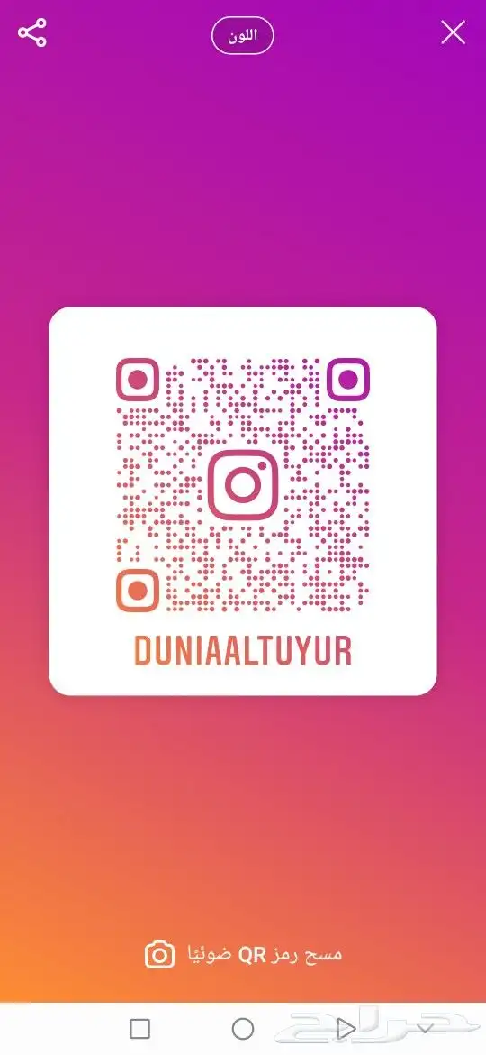 أسماك زينه سلاحف طيور اقفاص 18